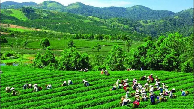 Đặt vé tàu online tại Thái Nguyên - Địa Chỉ Uy Tín và Dịch Vụ Chuyên Nghiệp